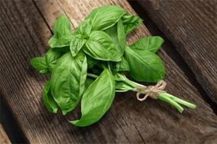 Cyclospora Outbreaks Most Common During Warm Weather Months