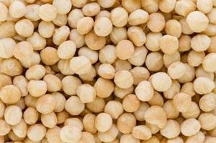 Nuts Have History of Food Poisoning Outbreaks